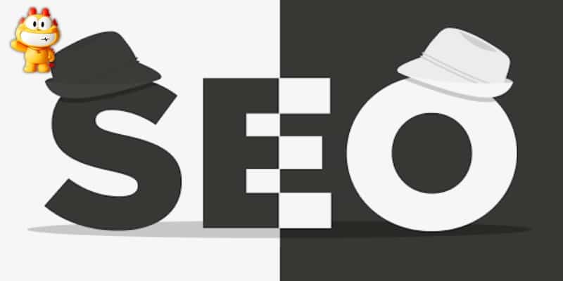 Seo mũ xám nên được cân nhắc
