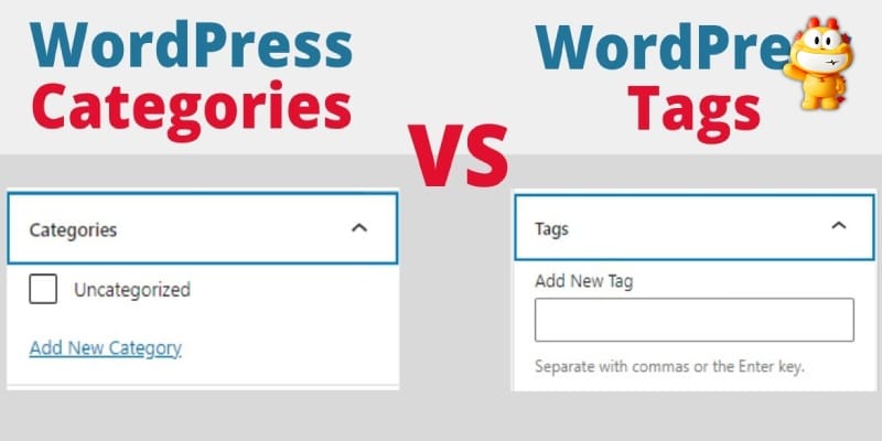 Tận dụng Tags và Categories